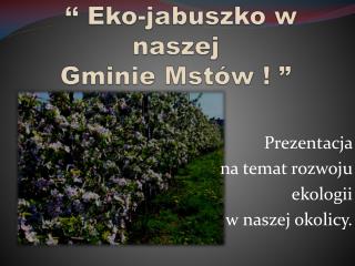 ‘‘ Eko-jabuszko w naszej Gminie Mstów ! ”