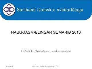 hauggasmælingar sumarið 2010