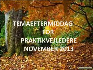 TEMAEFTERMIDDAG FOR PRAKTIKVEJLEDERE NOVEMBER 2013