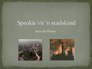 Sprokie vir ‘n stadskind