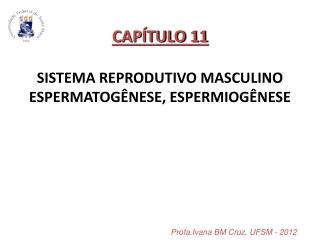 CAPÍTULO 11 SISTEMA REPRODUTIVO MASCULINO ESPERMATOGÊNESE, ESPERMIOGÊNESE