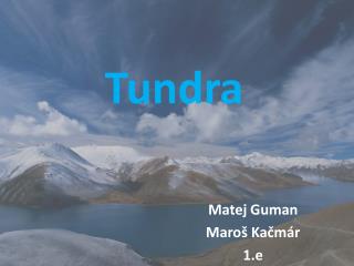 Tundra