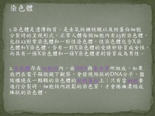 染色體
