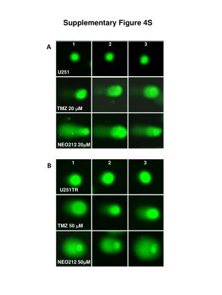 Supplementary Figure 4S
