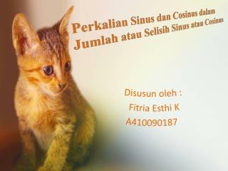 Disusun oleh : Fitria Esthi K A410090187