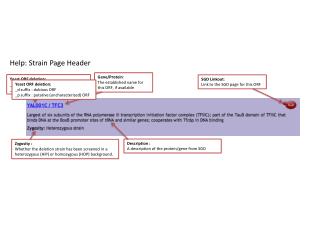 Help: Strain Page Header