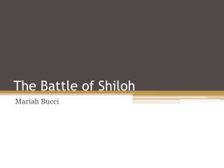 The Battle of Shiloh