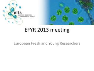 EFYR 2013 meeting