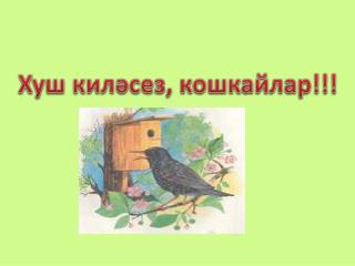 Хуш киләсез , кошкайлар !!!