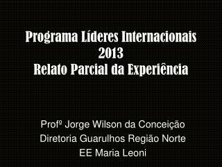 Programa Líderes Internacionais 2013 Relato Parcial da Experiência