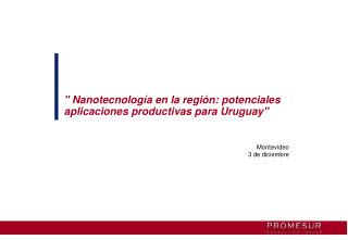 &quot; Nanotecnología en la región: potenciales aplicaciones productivas para Uruguay&quot;