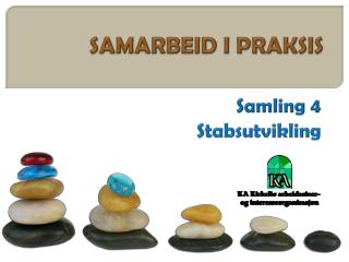 SAMARBEID I PRAKSIS