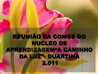 REUNIÃO DA COMGE DO NUCLEO DE APRENDIZAGEM“A CAMINHO DA LUZ”- DUARTINA 2.011