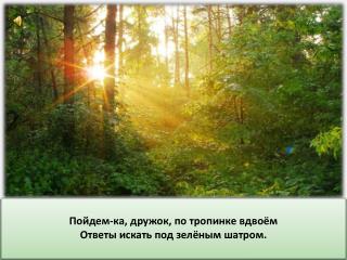 Когда ты идёшь по тропинке лесной, Вопросы тебя обгоняют гурьбой.