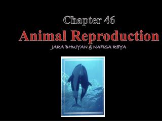 Chapter 46 Animal Reproduction Jara Bhuiyan &amp; Nafisa Reya