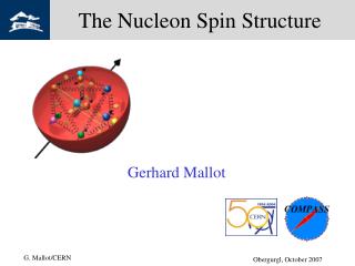 The Nucleon Spin Structure