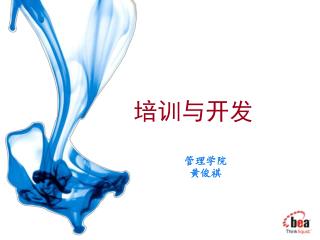 培训与开发