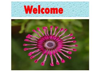 Welcome