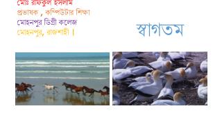 মোঃ রফিকুল ইসলাম প্রভাষক , কম্পিউটার শিক্ষা মোহনপুর ডিগ্রী কলেজ মোহনপুর, রাজশাহী ।