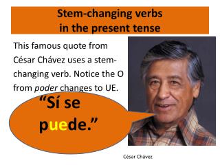 Stem-changing verbs in the present tense