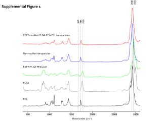 EGFR-modified PLGA-PEG-PCL nanoparticles Non-modified nanoparticles EGFR-PLGA-PEG graft PLGA PCL