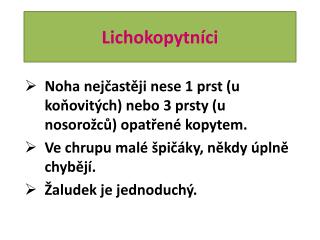 Lichokopytníci