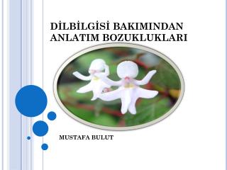 DİLBİLGİSİ BAKIMINDAN ANLATIM BOZUKLUKLARI