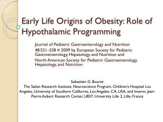 Early Life Origins of Obesity: Role of Hypothalamic Programming