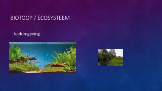 Biotoop / ecosysteem