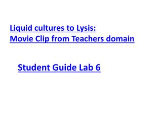 Liquid cultures to Lysis : Movie Clip from Teachers domain