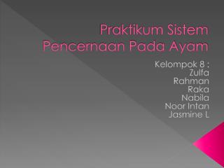 Praktikum Sistem Pencernaan Pada Ayam