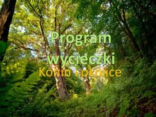 Program wycieczki