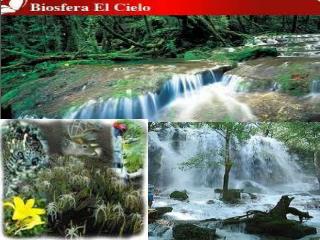 ECOSISTEMA