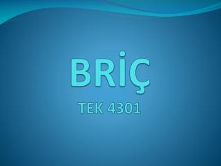 BRİÇ TEK 4301