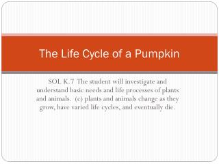 The Life Cycle of a Pumpkin