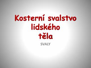 Kosterní svalstvo lidského těla