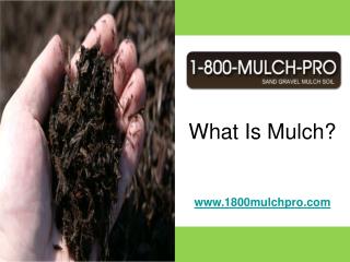 What Is Mulch
