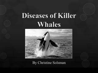 Diseases of Killer Whales