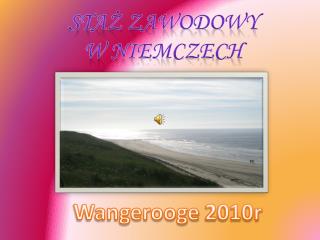 Staż Zawodowy W niemczech