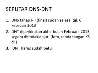 SEPUTAR DNS-DNT