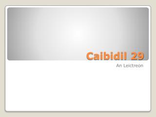 Caibidil 29