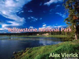 Yellowstone National Park