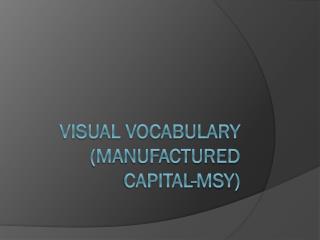 Visual Vocabulary (Manufactured Capital-MSY)