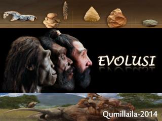 EVOLUSI