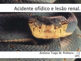 Acidente ofídico e lesão renal.