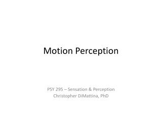 Motion Perception