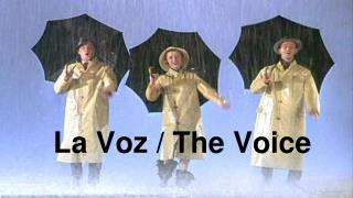 La Voz / The Voice