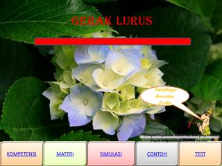 GERAK LURUS