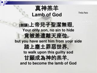 真神羔 羊 Lamb of God