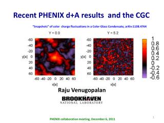 “Snapshots” of color charge fluctuations in a Color Glass Condensate, arXiv:1108.4764